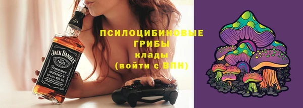 стаф Балахна