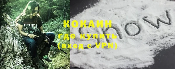 стаф Балахна