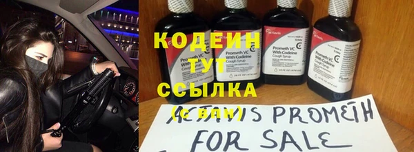 стаф Балахна
