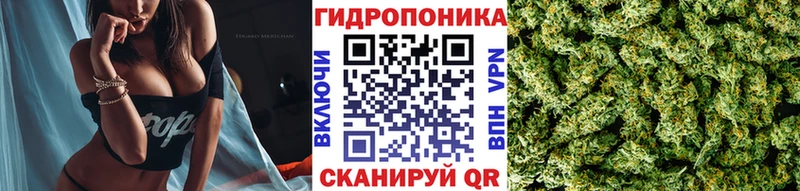 закладка  Сафоново  Каннабис индика 